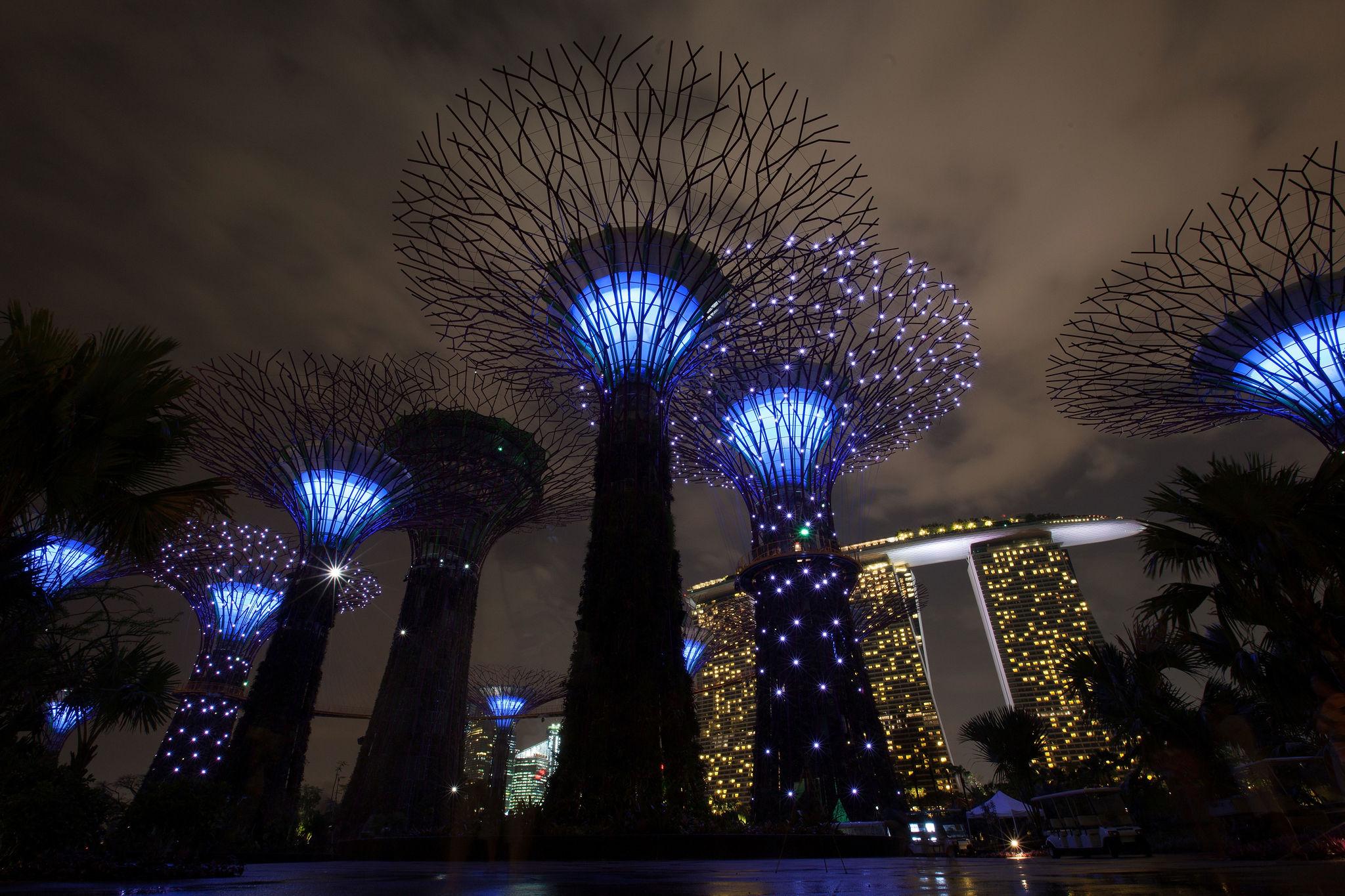 Singapore 5
