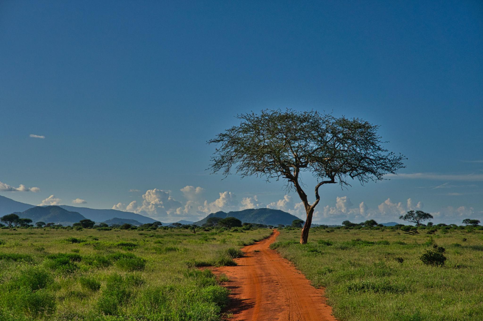 Tsavo 2