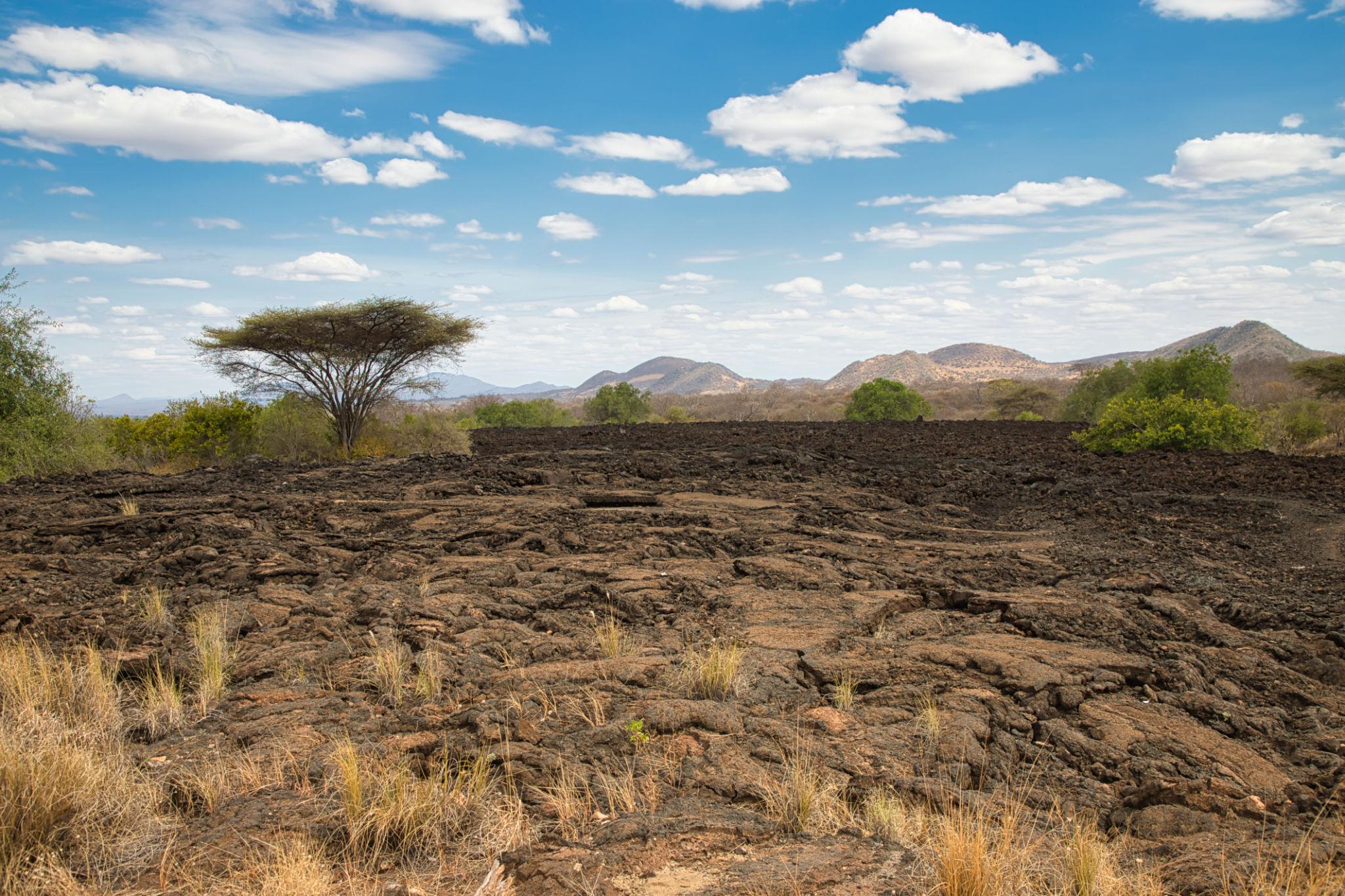 Tsavo W1