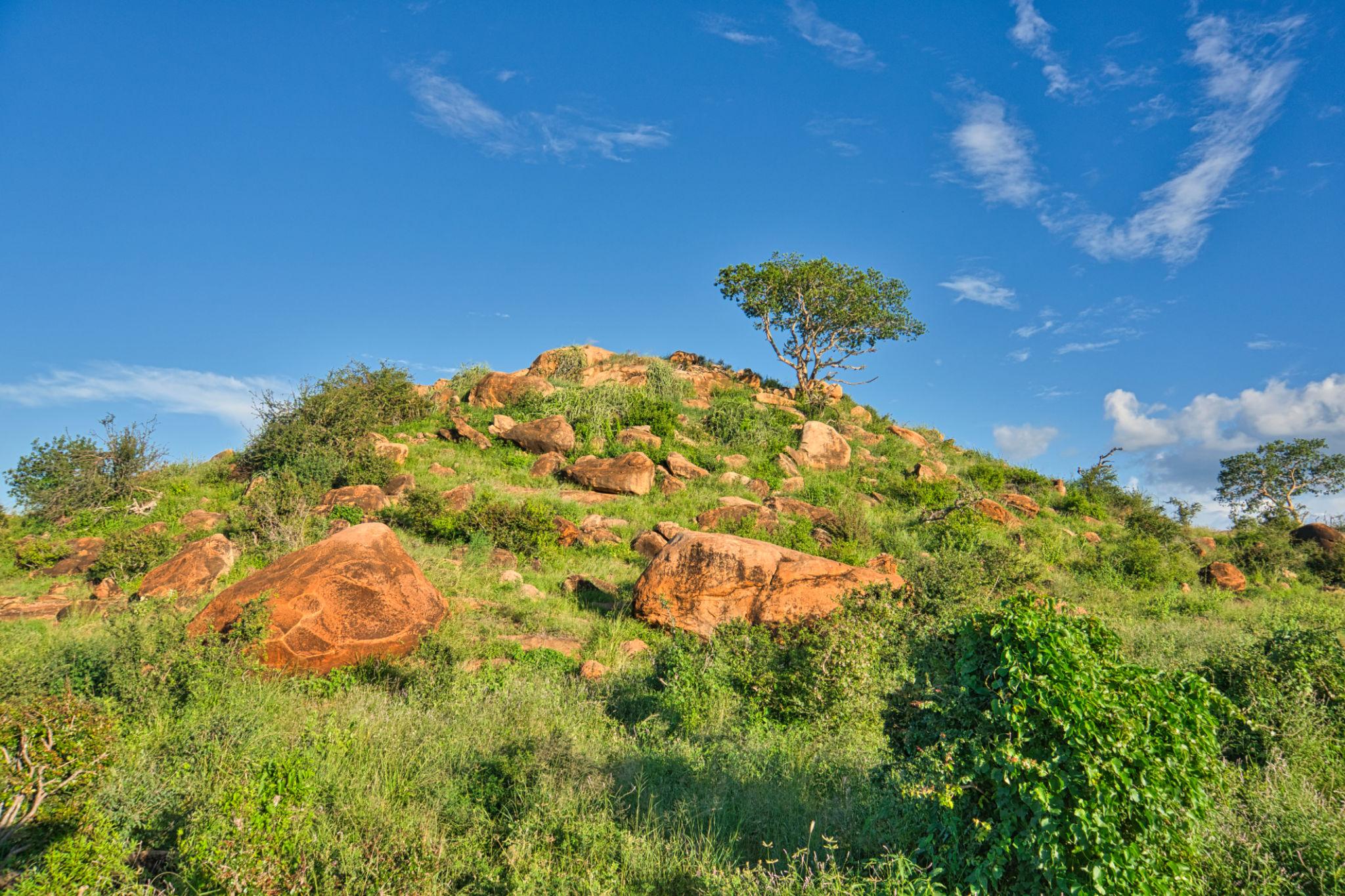 Tsavo w3