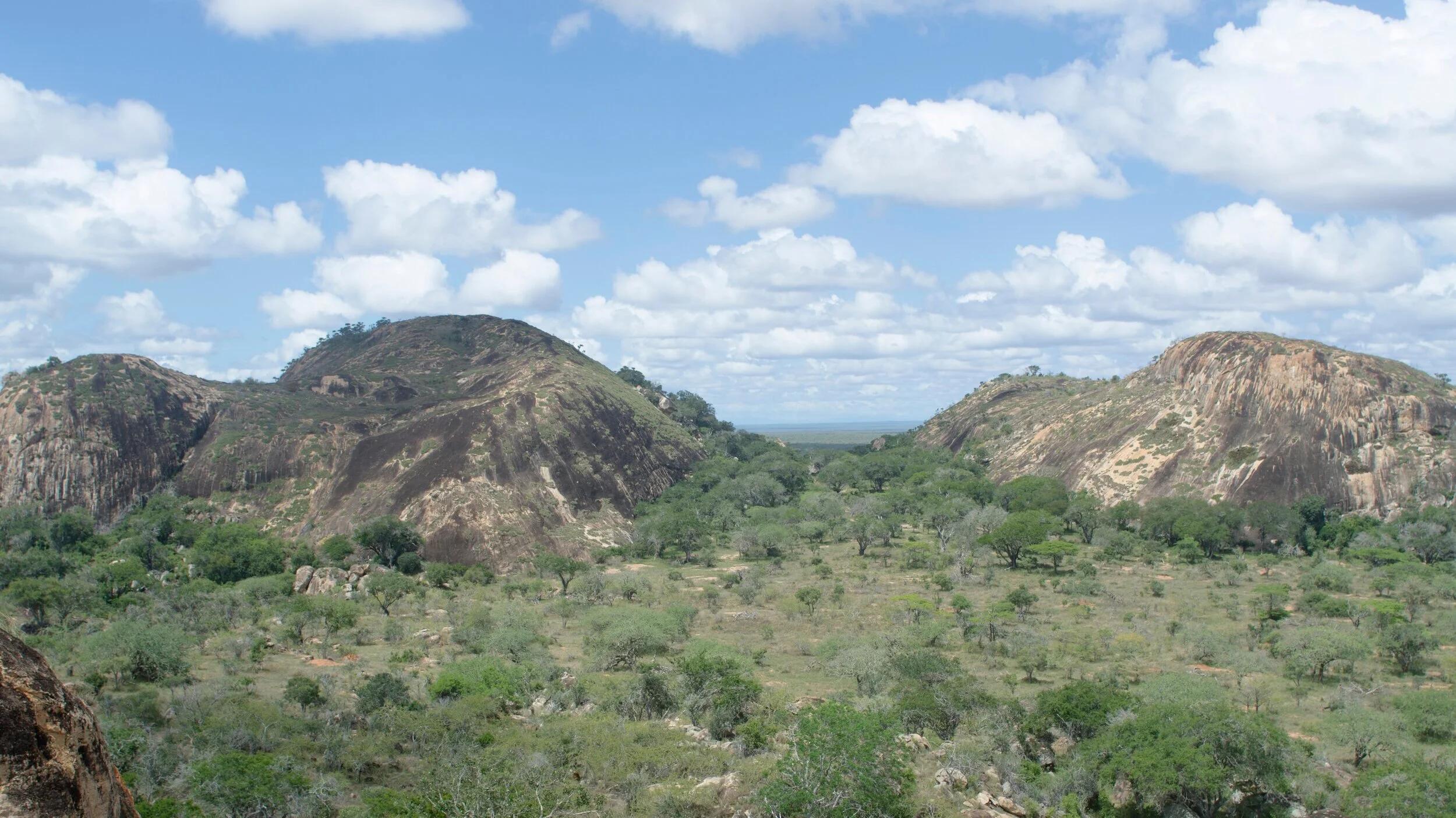 Tsavo w5